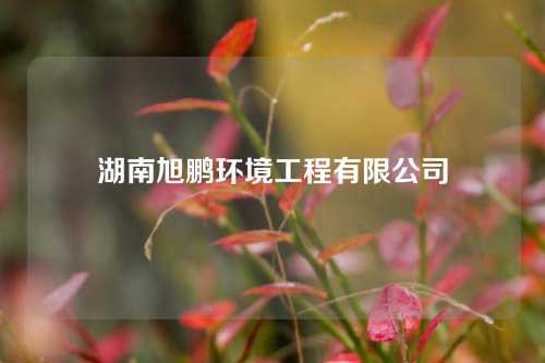 湖南旭鹏环境工程有限公司