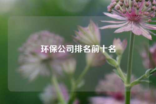 环保公司排名前十名