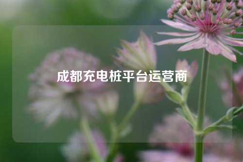 成都充电桩平台运营商