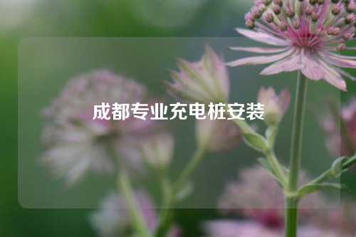 成都专业充电桩安装