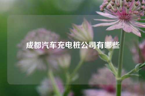 成都汽车充电桩公司有哪些