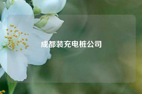 成都装充电桩公司