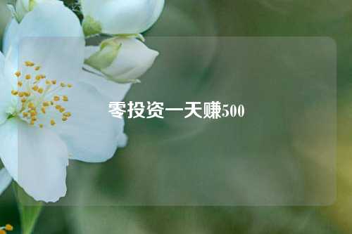 零投资一天赚500