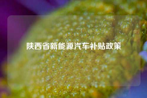 陕西省新能源汽车补贴政策