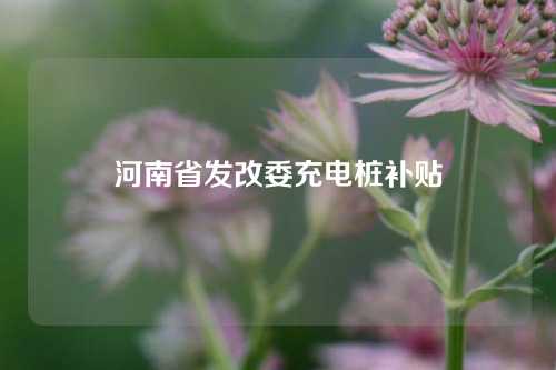 河南省发改委充电桩补贴