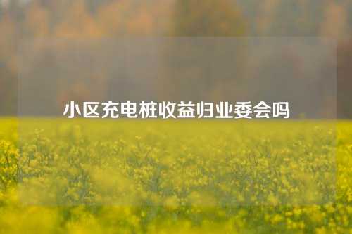 小区充电桩收益归业委会吗