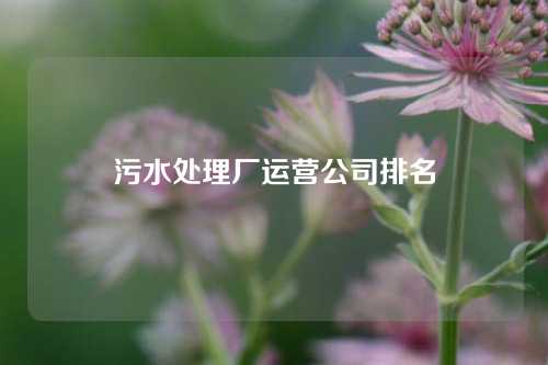 污水处理厂运营公司排名