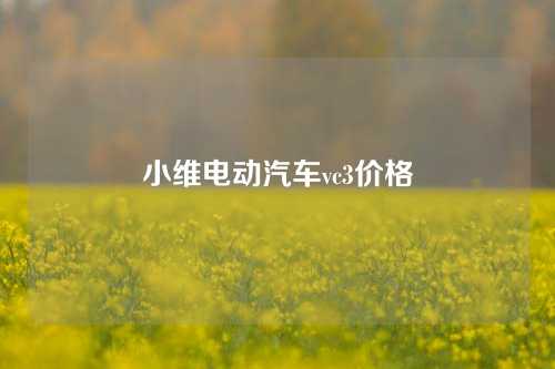 小维电动汽车vc3价格