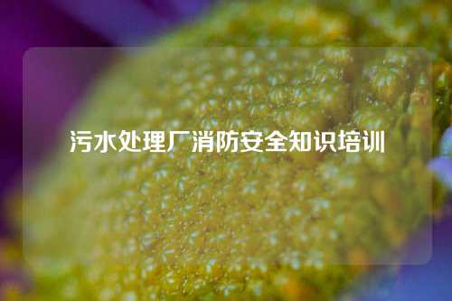 污水处理厂消防安全知识培训