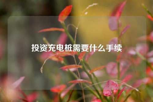 投资充电桩需要什么手续