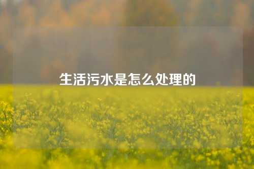 生活污水是怎么处理的