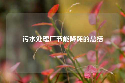 污水处理厂节能降耗的总结