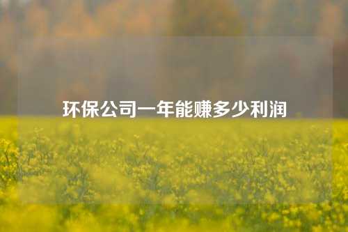 环保公司一年能赚多少利润