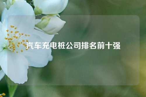 汽车充电桩公司排名前十强