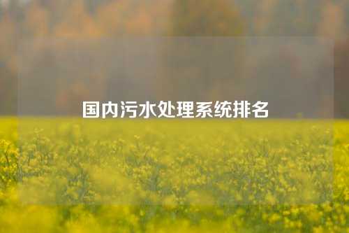 国内污水处理系统排名