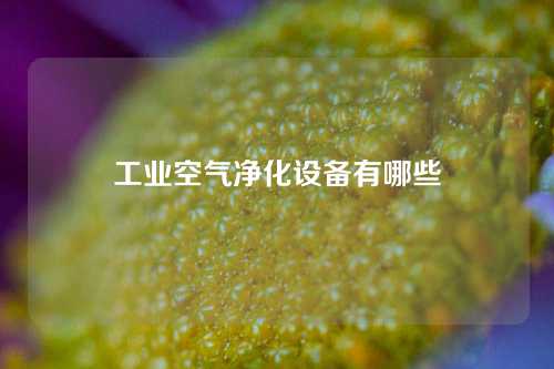 工业空气净化设备有哪些