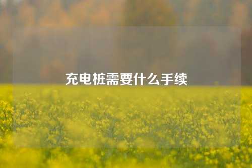 充电桩需要什么手续