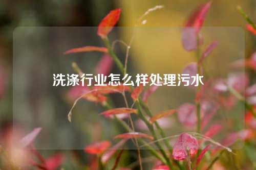 洗涤行业怎么样处理污水