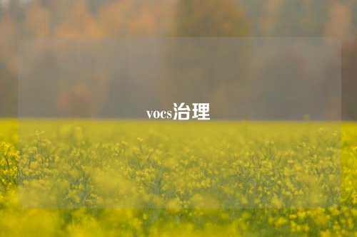 vocs治理