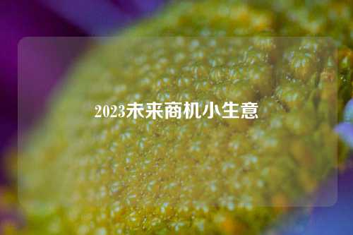 2023未来商机小生意