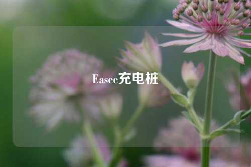 Easee充电桩