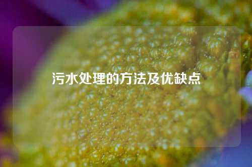 污水处理的方法及优缺点