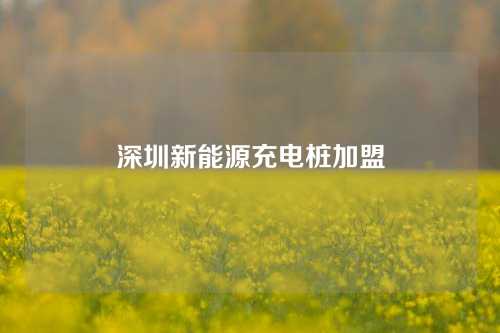 深圳新能源充电桩加盟