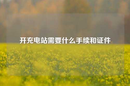 开充电站需要什么手续和证件