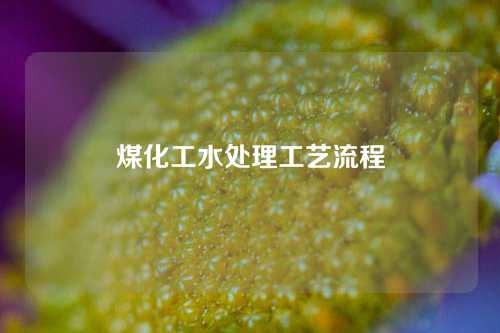 煤化工水处理工艺流程