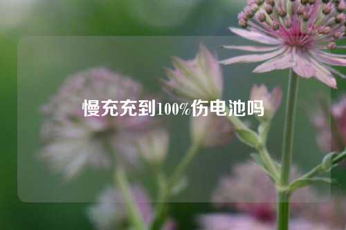 慢充充到100%伤电池吗