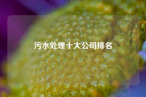 污水处理十大公司排名