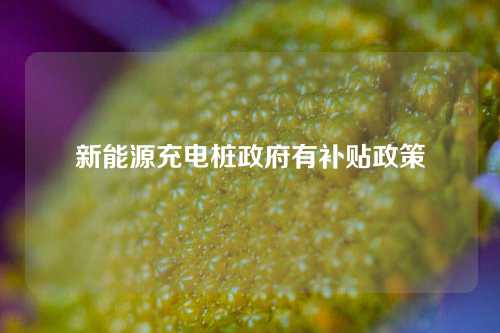 新能源充电桩政府有补贴政策