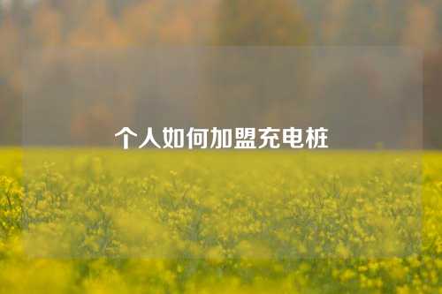 个人如何加盟充电桩