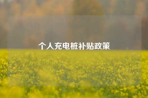 个人充电桩补贴政策