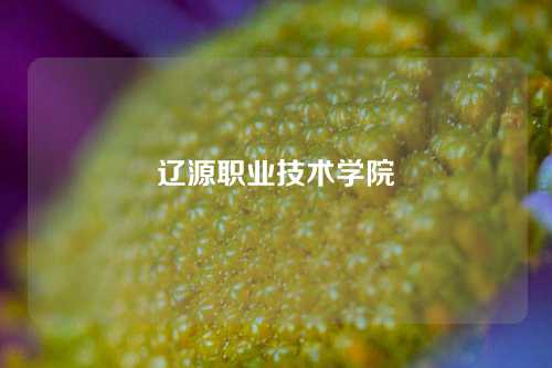 辽源职业技术学院