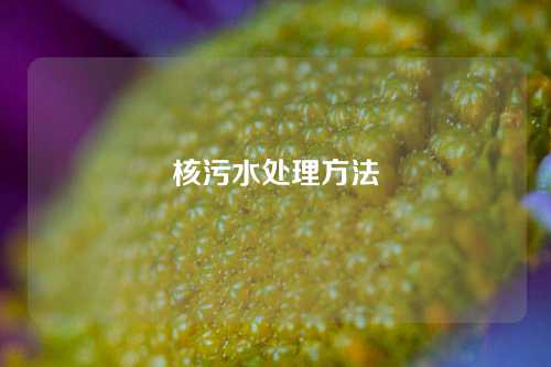 核污水处理方法