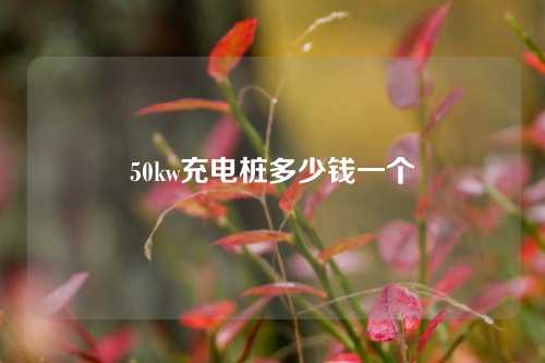 50kw充电桩多少钱一个