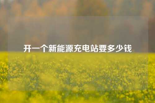 开一个新能源充电站要多少钱