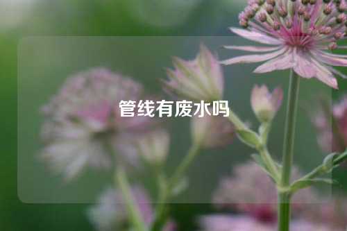 管线有废水吗