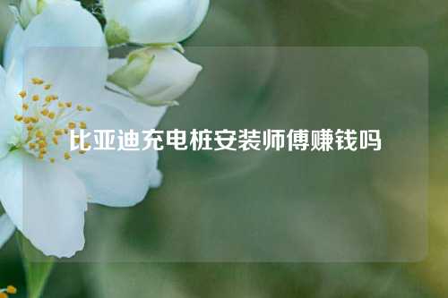 比亚迪充电桩安装师傅赚钱吗