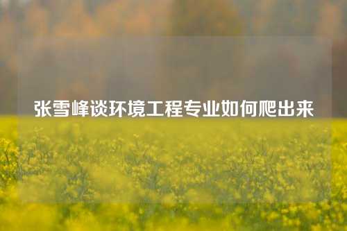 张雪峰谈环境工程专业如何爬出来