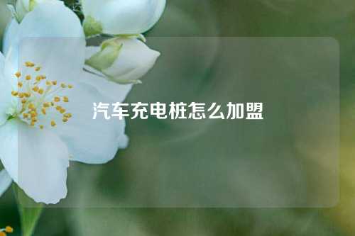 汽车充电桩怎么加盟