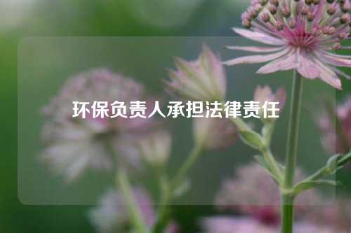 环保负责人承担法律责任