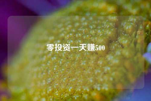 零投资一天赚500