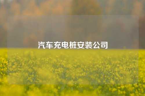 汽车充电桩安装公司