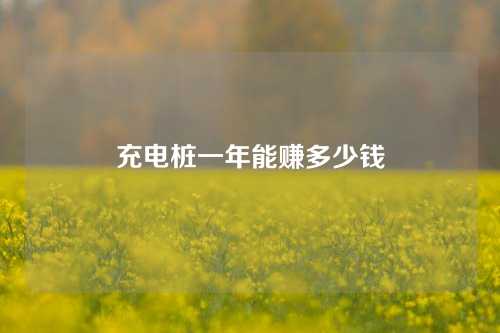 充电桩一年能赚多少钱