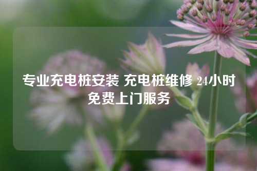 专业充电桩安装 充电桩维修 24小时免费上门服务