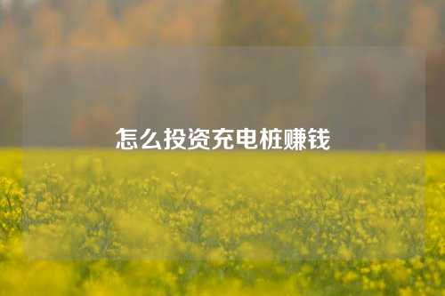 怎么投资充电桩赚钱