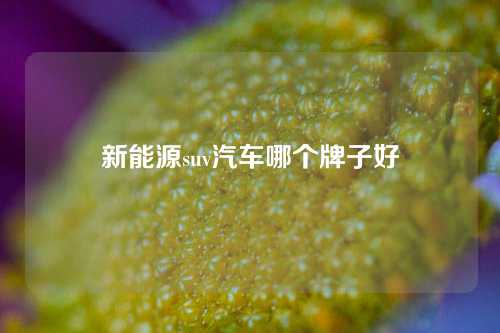 新能源suv汽车哪个牌子好