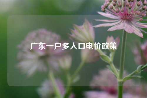 广东一户多人口电价政策